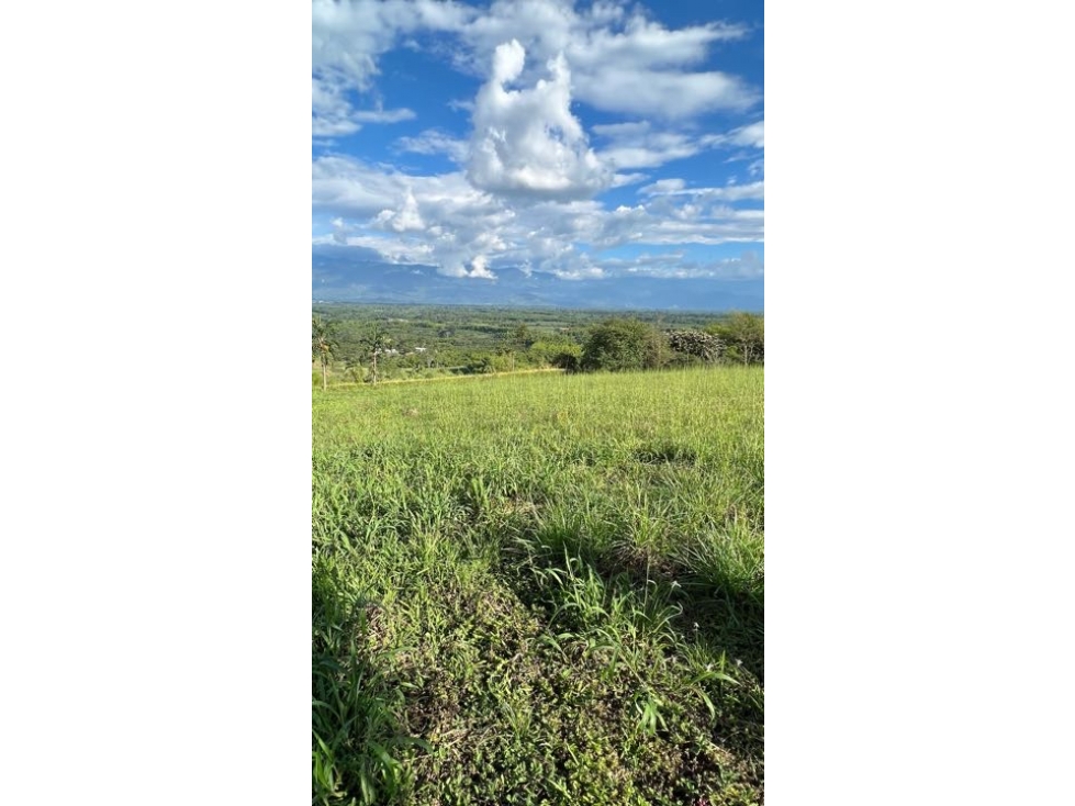 VENTA DE LOTE SECTOR PARQUE DEL CAFÉ EN MONTENEGRO - PUEBLO TAPAO - 5