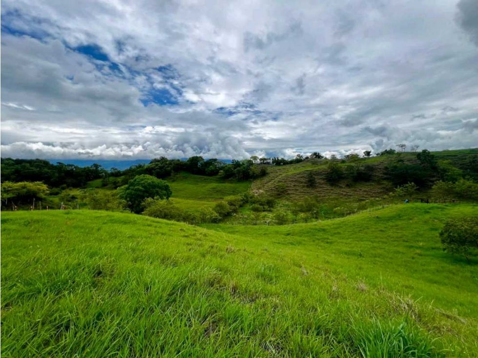 Venta de Lote U/C Damasco — foto 2