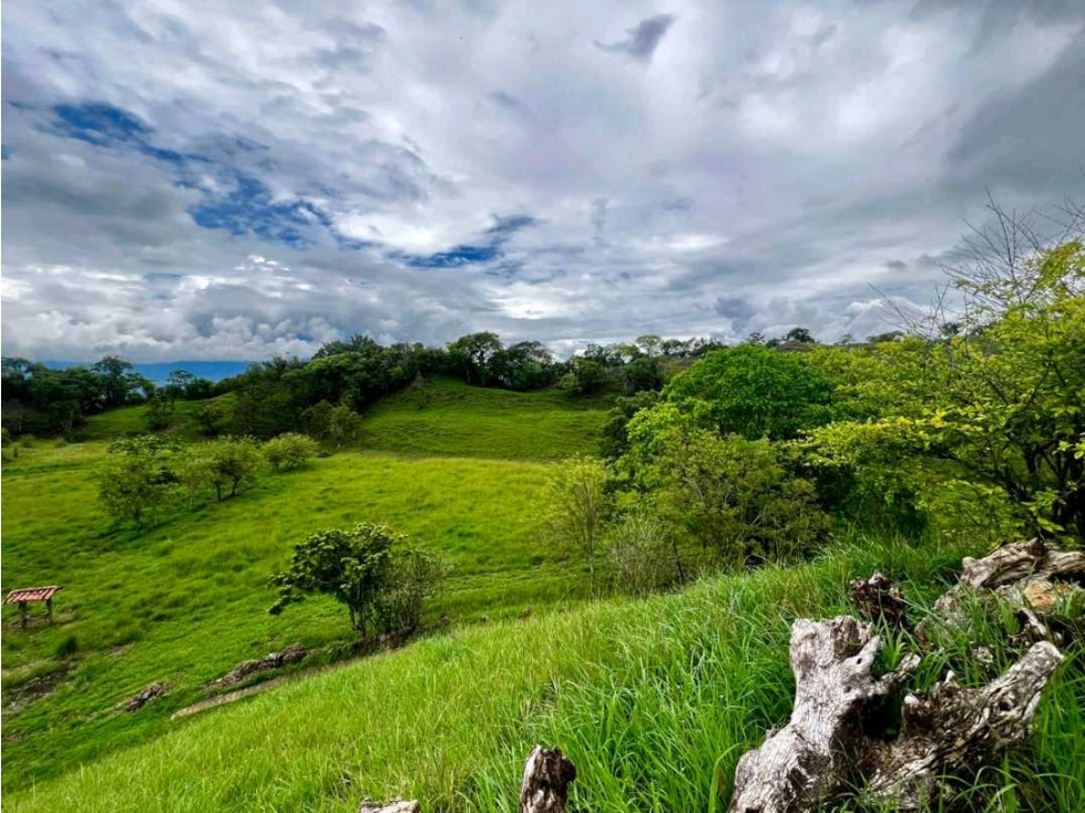 Venta de Lote U/C Damasco — foto 3
