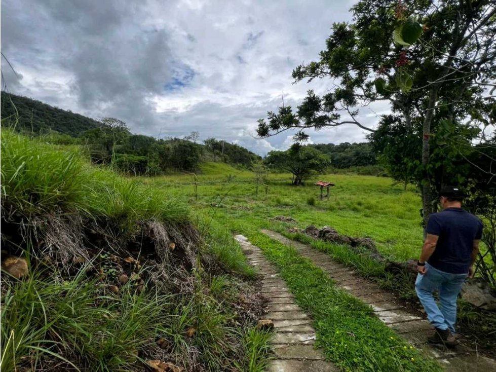 Venta de Lote U/C Damasco — foto 4