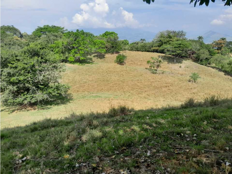 VENTA DE LOTE U/C, LA PINTADA SUROESTE ANTIOQUEÑO