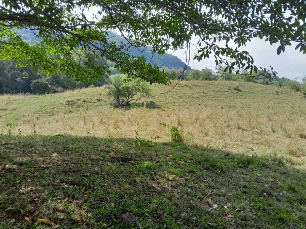 VENTA DE LOTE U/C, LA PINTADA SUROESTE ANTIOQUEÑO — foto 2