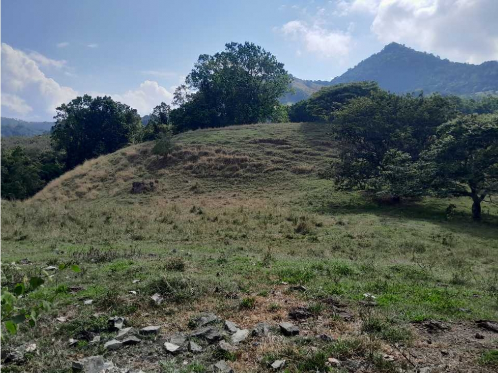 VENTA DE LOTE U/C, LA PINTADA SUROESTE ANTIOQUEÑO — foto 4