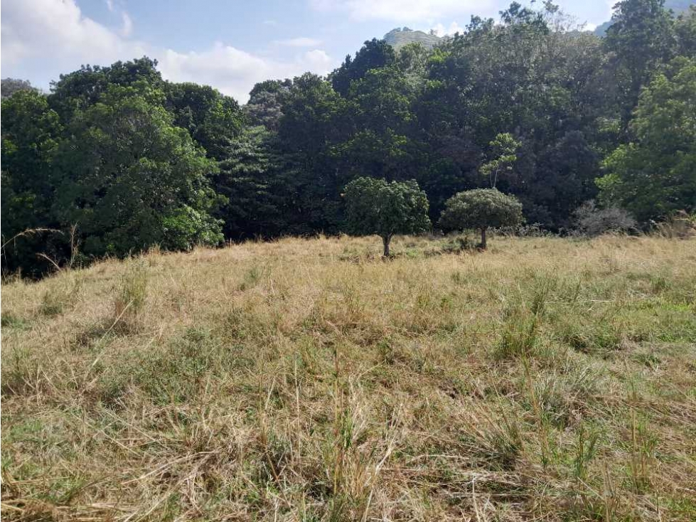 VENTA DE LOTE U/C, LA PINTADA SUROESTE ANTIOQUEÑO — foto 5