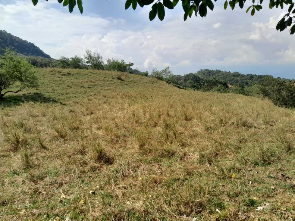 VENTA DE LOTE U/C, LA PINTADA SUROESTE ANTIOQUEÑO — foto 6