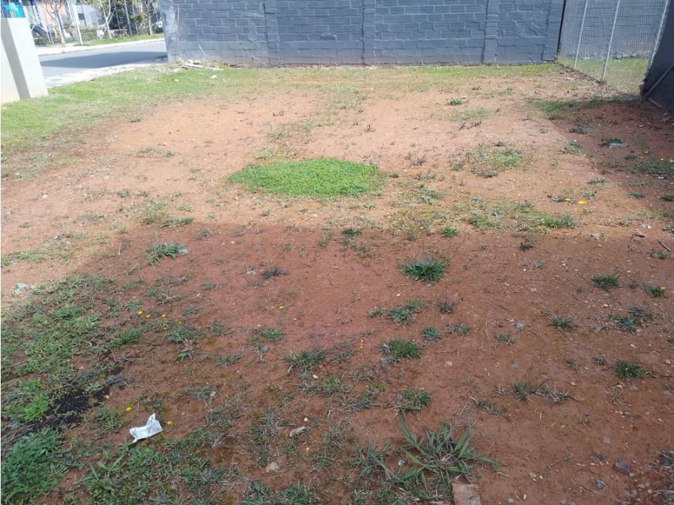 Venta de lote, unidad abierta - La Ceja, sector el Vallés — foto 4