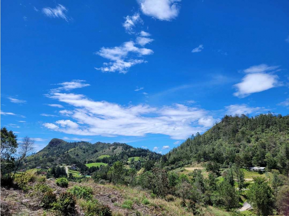 Venta de Lote Unidad Cerrada via Don Diego la Ceja