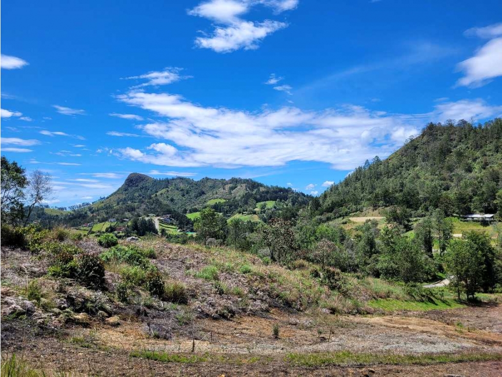 Venta de Lote Unidad Cerrada via Don Diego la Ceja — foto 3