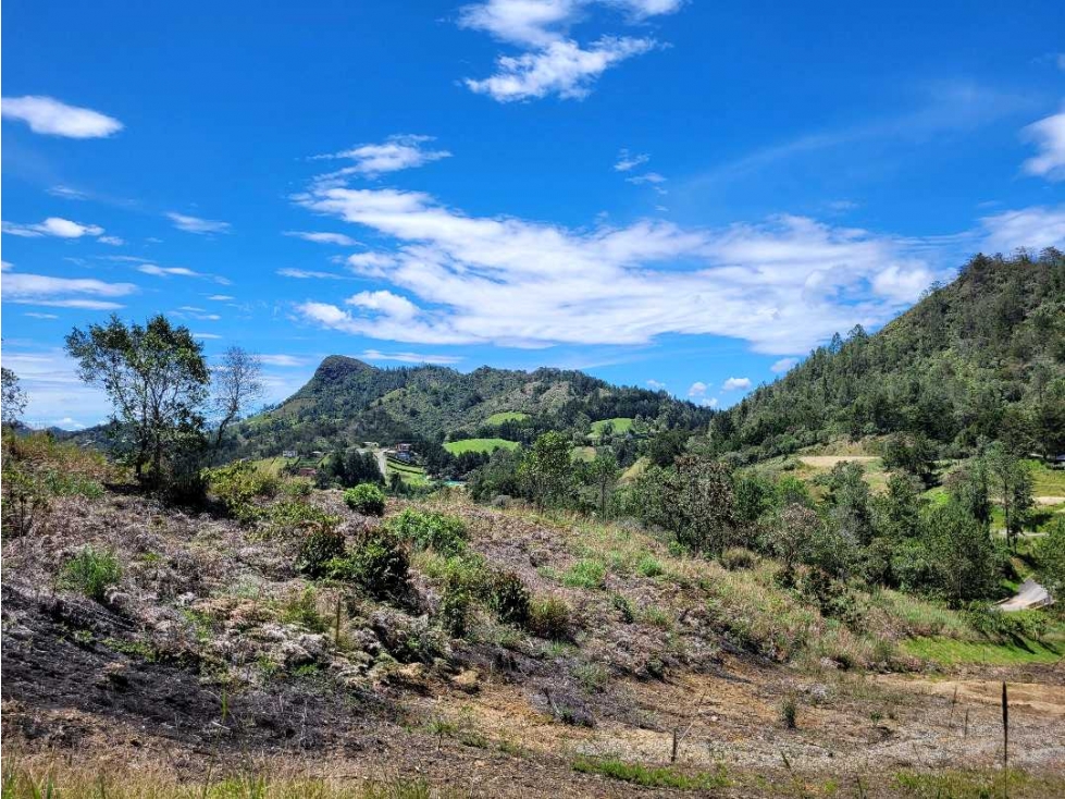 Venta de Lote Unidad Cerrada via Don Diego la Ceja — foto 4