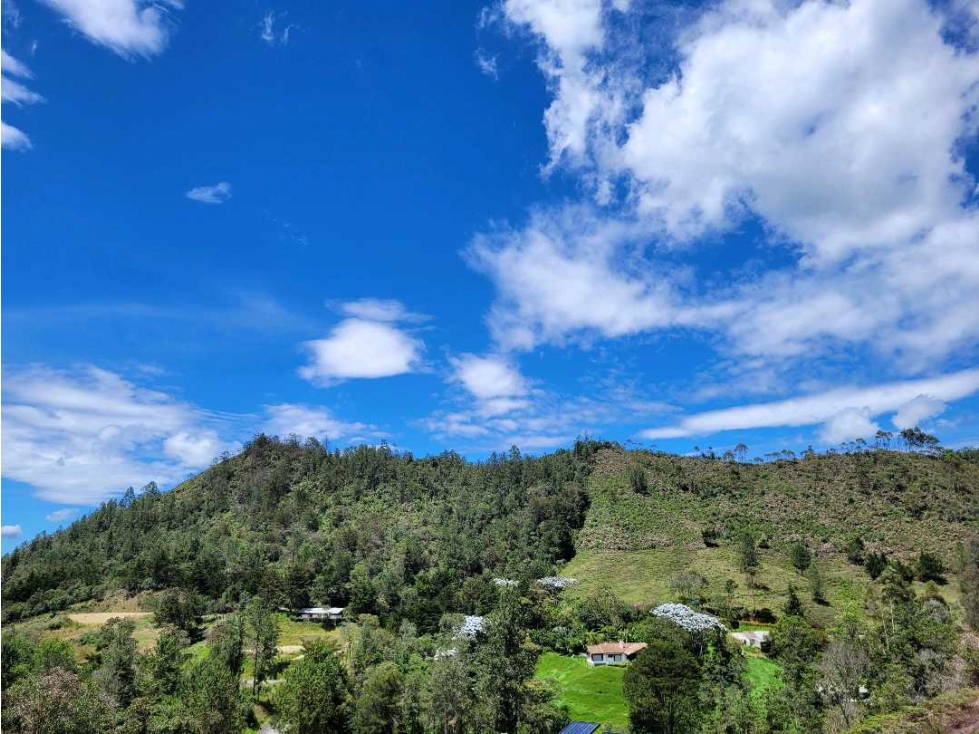 Venta de Lote Unidad Cerrada via Don Diego la Ceja — foto 5