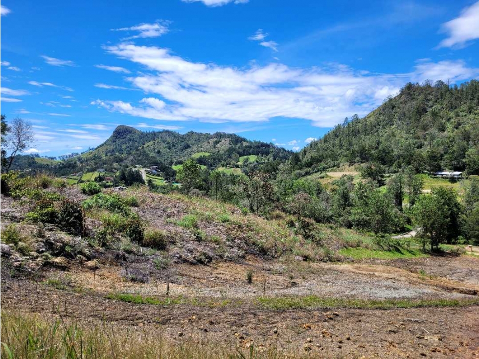 Venta de Lote Unidad Cerrada via Don Diego la Ceja — foto 6