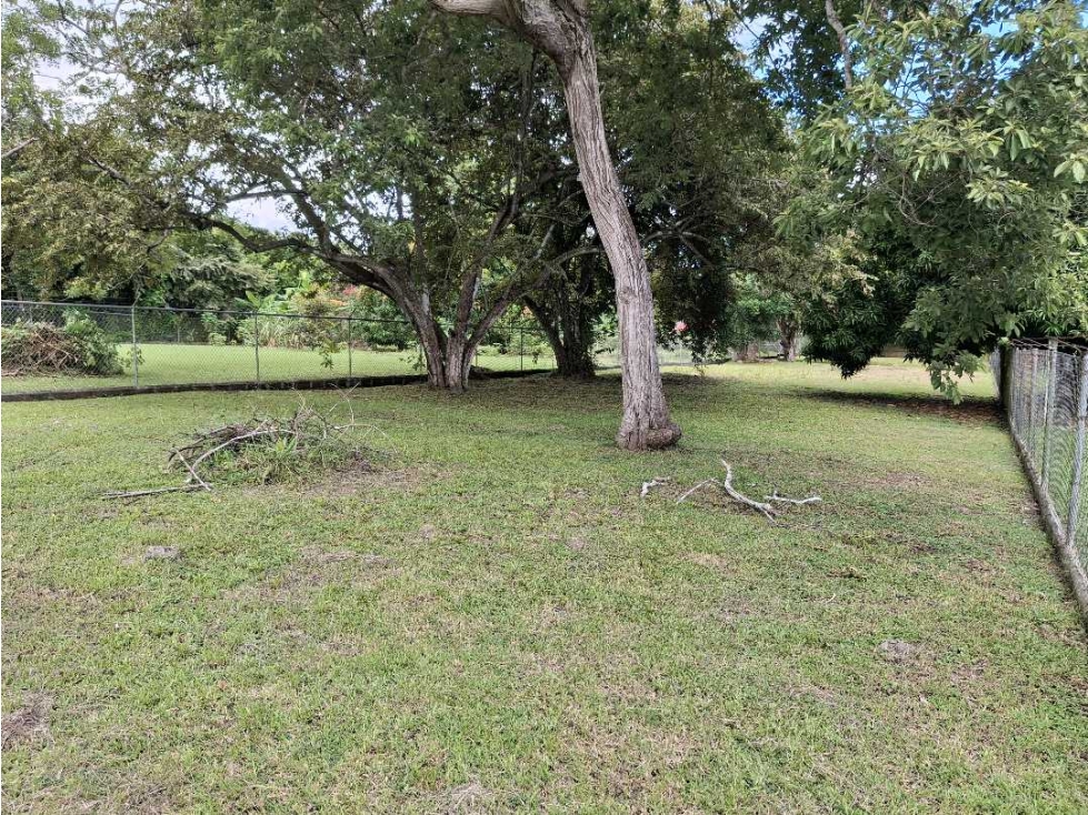 VENTA DE LOTE URBANIZACION CORONA DEL MAR SAN CARLOS — foto 3