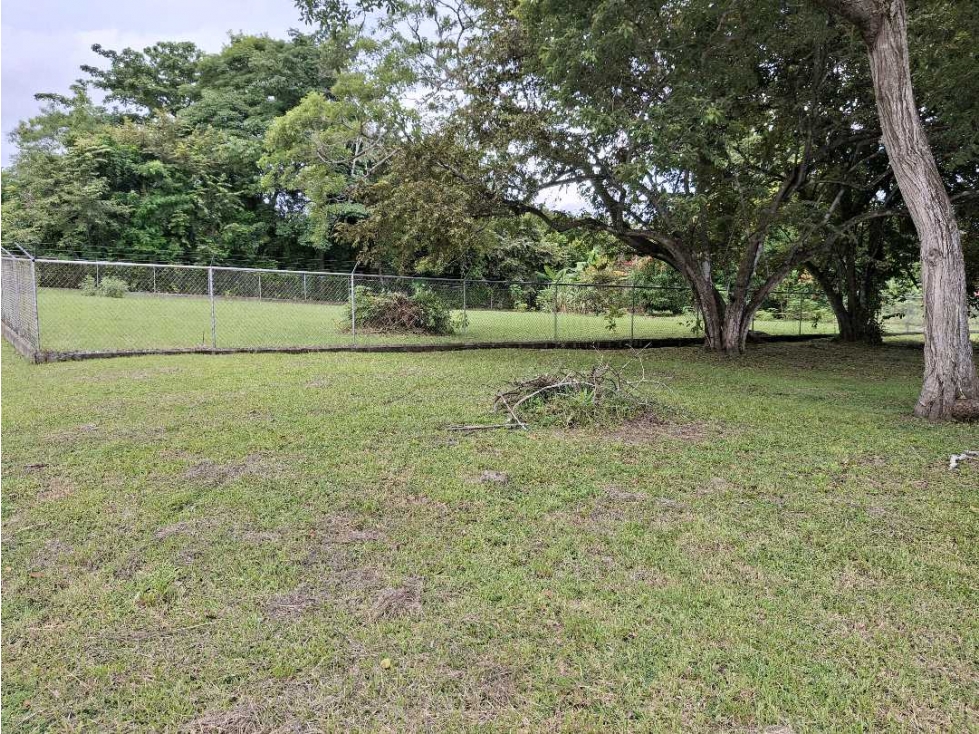 VENTA DE LOTE URBANIZACION CORONA DEL MAR SAN CARLOS — foto 4
