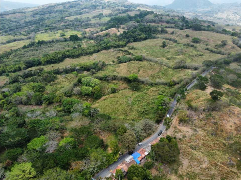 VENTA DE LOTE VALPARAISO, SUROESTE ANTIOQUEÑO - 4
