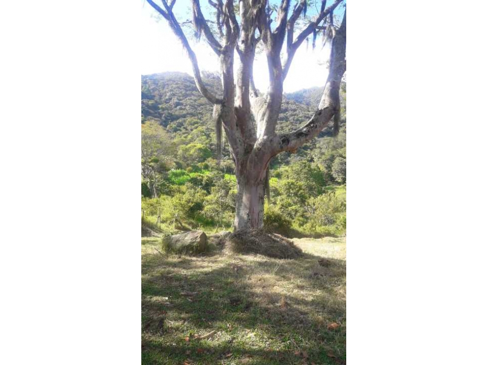 Lote en venta Copacabana Vereda La Veta — foto 3
