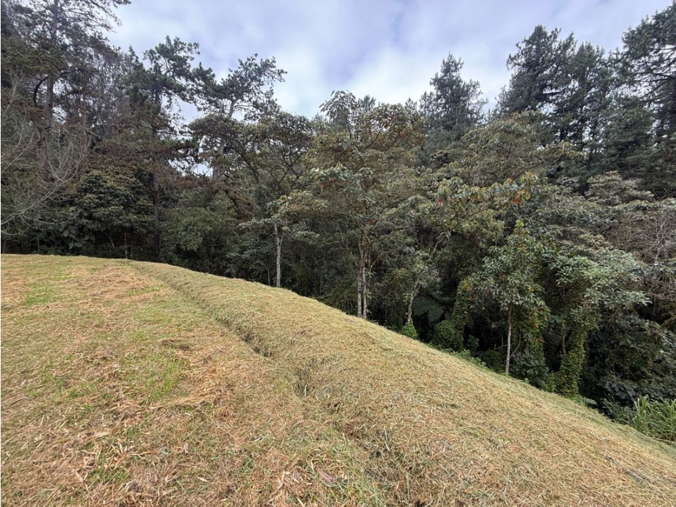 Venta de lotes campestre alto de las palmas unidad cerrada envigado an — foto 2