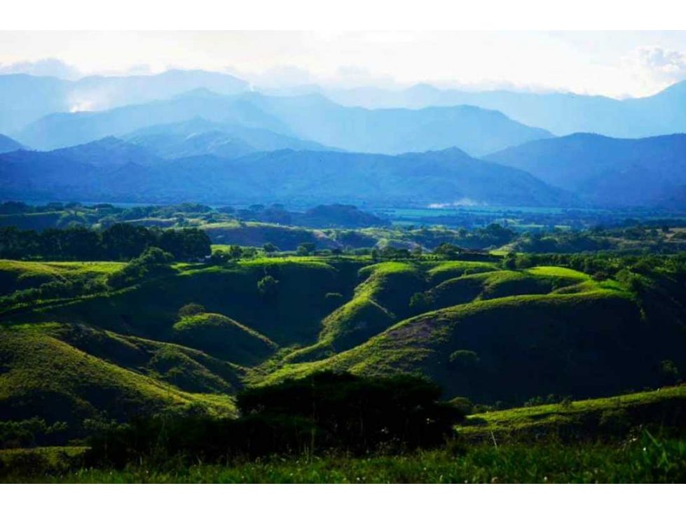 VENTA LOTES CAMPESTRES EN CONDOMINIO EXCLUSIVO, CERRITOS, CARTAGO CO — foto 2