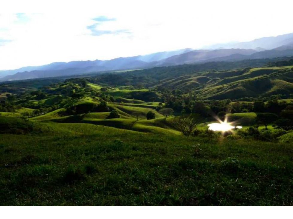 VENTA LOTES CAMPESTRES EN CONDOMINIO EXCLUSIVO, CERRITOS, CARTAGO CO — foto 3
