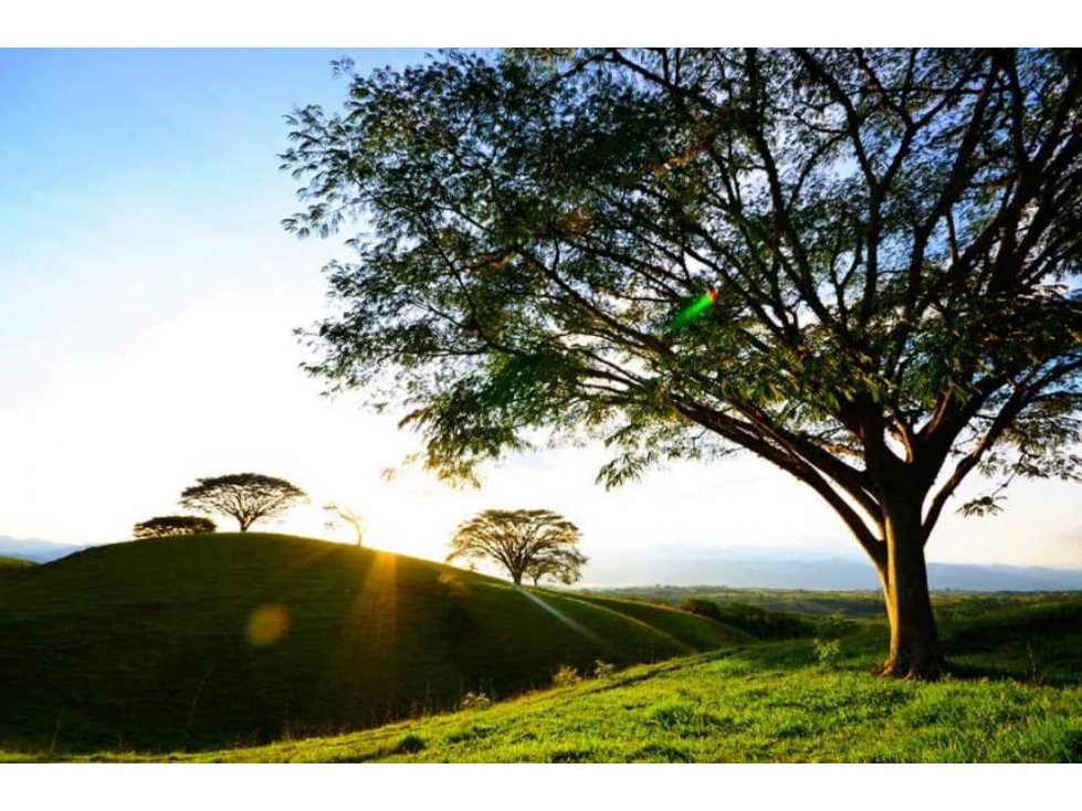 VENTA LOTES CAMPESTRES EN CONDOMINIO EXCLUSIVO, CERRITOS, CARTAGO CO — foto 4