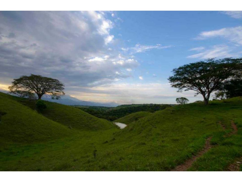 VENTA LOTES CAMPESTRES EN CONDOMINIO EXCLUSIVO, CERRITOS, CARTAGO CO — foto 5