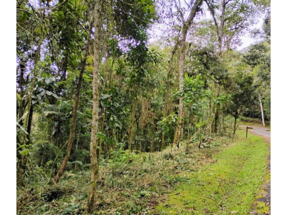 Venta de lotes campestre en unidad cerrada el retiro Antioquía — foto 2