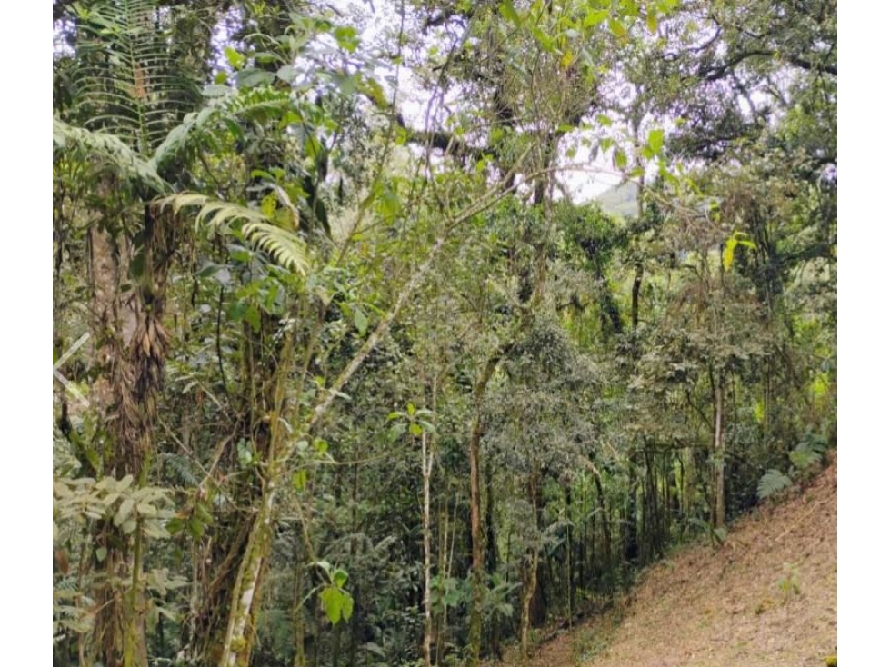 Venta de lotes campestre en unidad cerrada el retiro Antioquía — foto 3