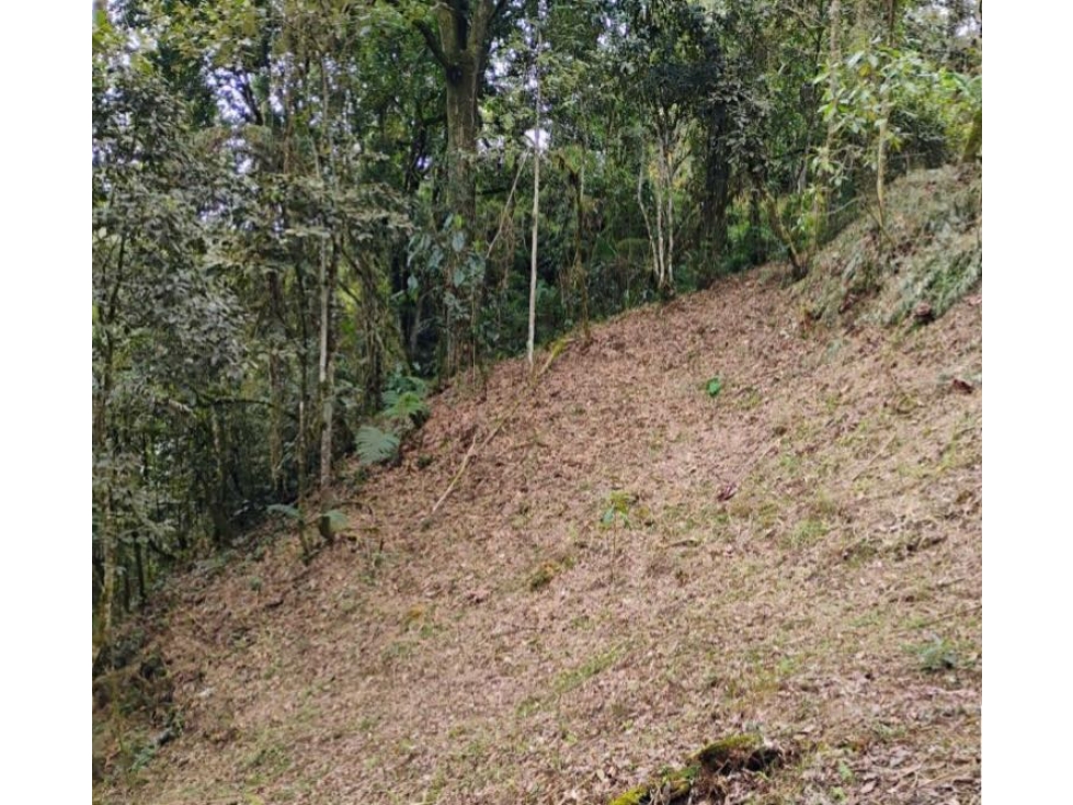 Venta de lotes campestre en unidad cerrada el retiro Antioquía — foto 4
