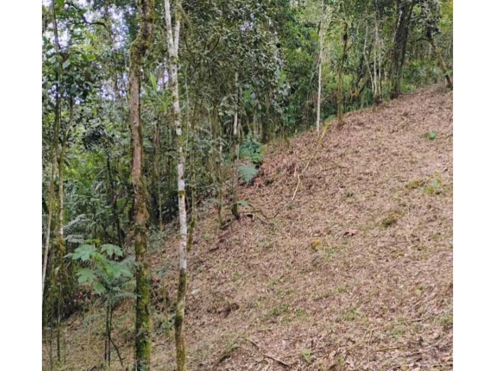 Venta de lotes campestre en unidad cerrada el retiro Antioquía — foto 5
