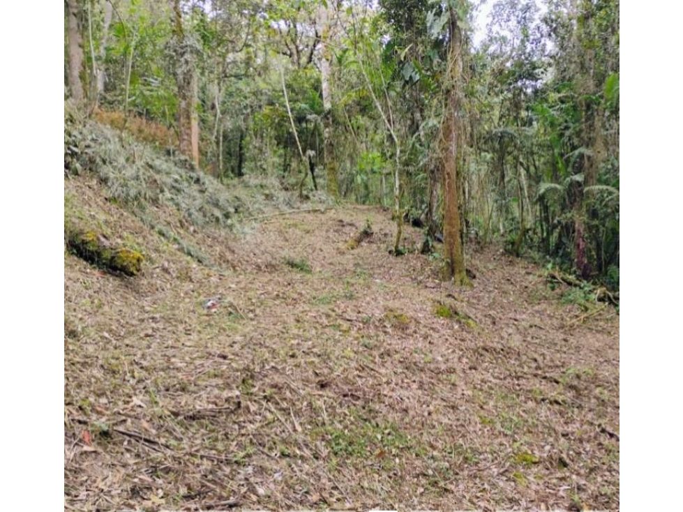 Venta de lotes campestre en unidad cerrada el retiro Antioquía — foto 6