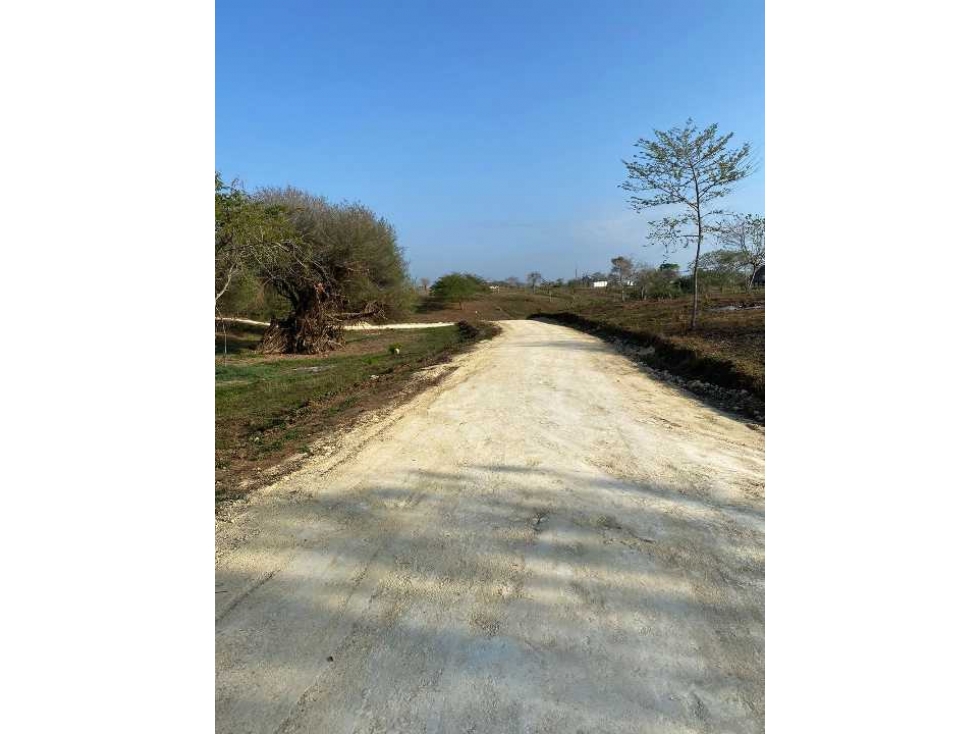VENTA DE LOTES CAMPESTRES EN ARJONA BOLIVAR - 2