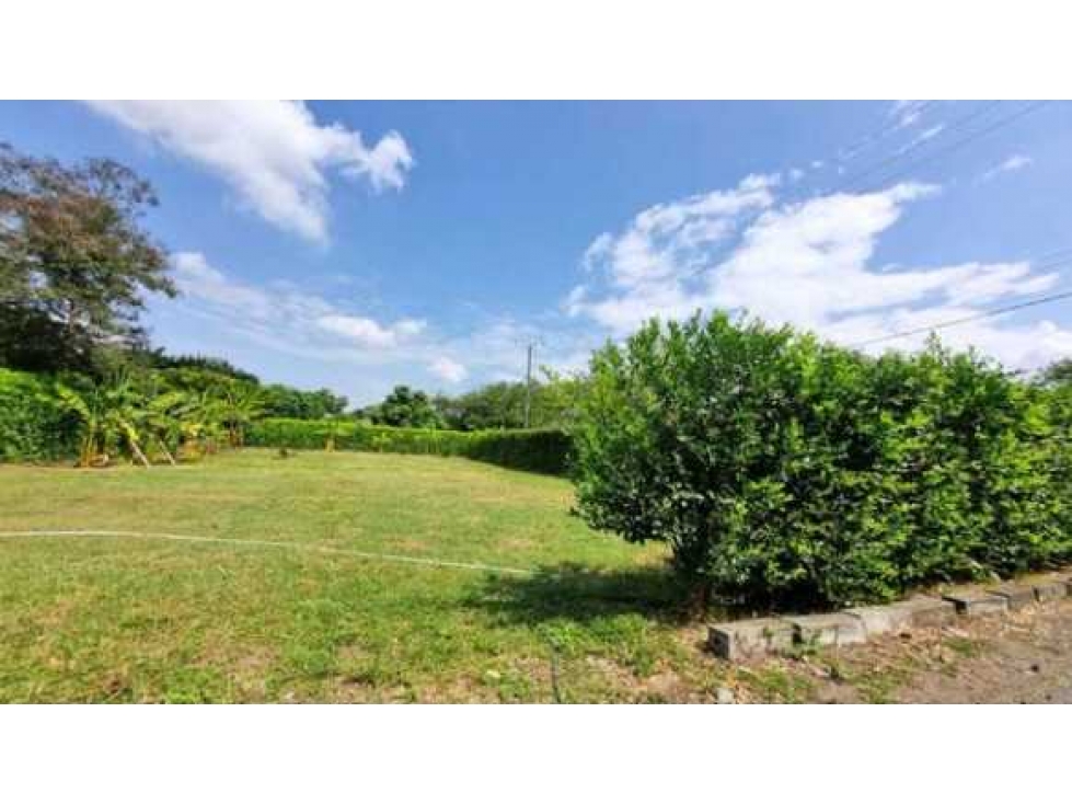 SE VENDEN LOTES CAMPESTRES EN CONDOMINIO GUACARI WIC9752004 - 1