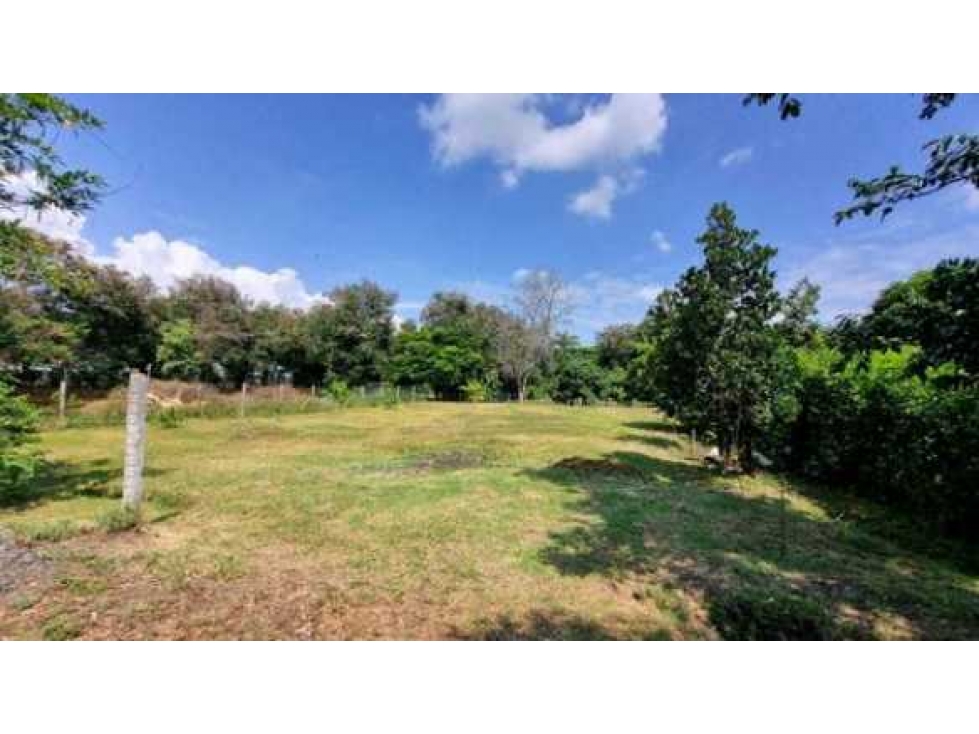 SE VENDEN LOTES CAMPESTRES EN CONDOMINIO GUACARI WIC9752004 - 3