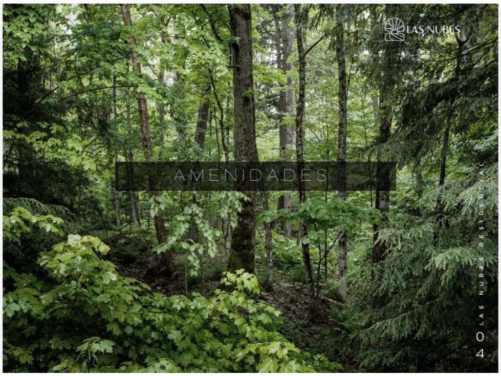 Venta Lotes Campestres de 750 a 1,270 m² en Huasca - 4