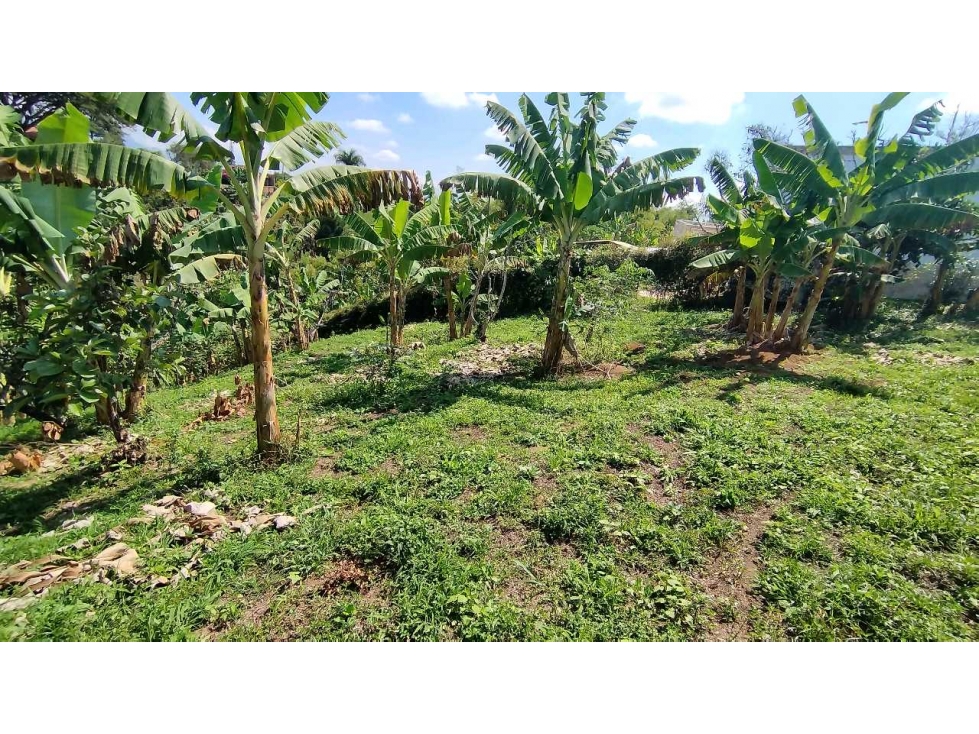 VENTA DE LOTES CAMPESTRES EN LA VIA MORELIA, ALCALA, SECTOR LA SELVA. — foto 2