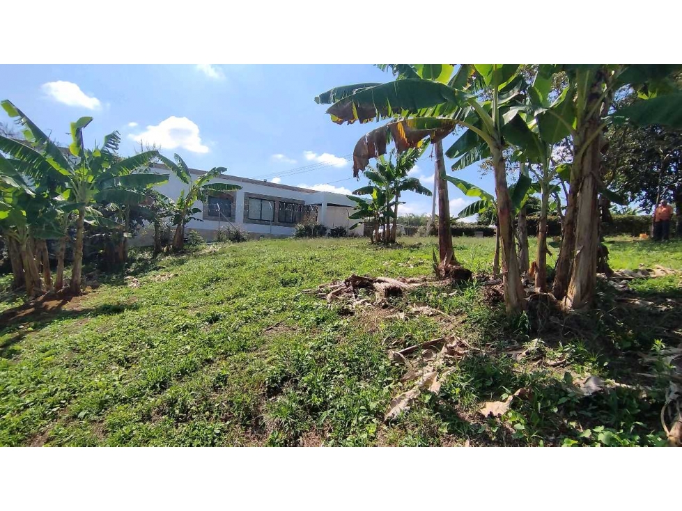 VENTA DE LOTES CAMPESTRES EN LA VIA MORELIA, ALCALA, SECTOR LA SELVA. — foto 3
