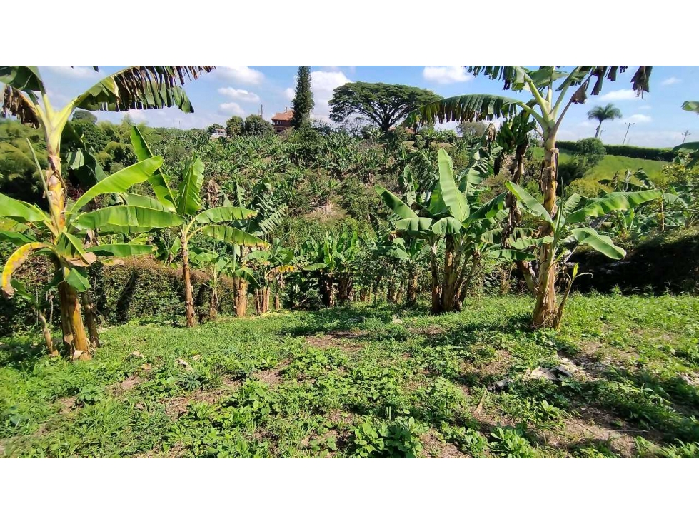 VENTA DE LOTES CAMPESTRES EN LA VIA MORELIA, ALCALA, SECTOR LA SELVA. — foto 4