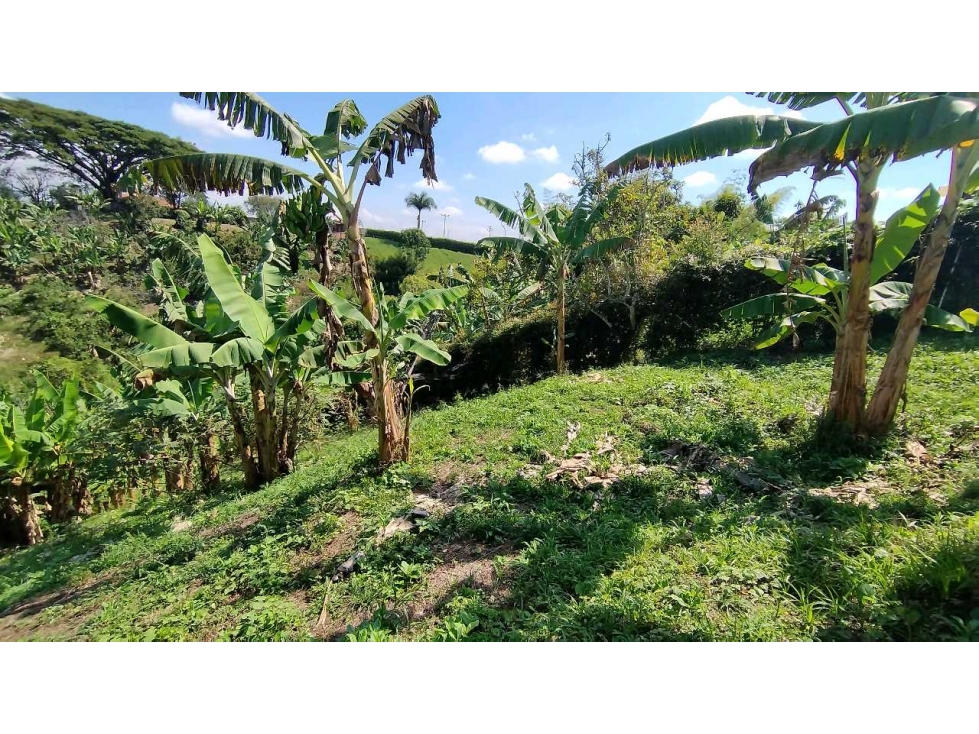 VENTA DE LOTES CAMPESTRES EN LA VIA MORELIA, ALCALA, SECTOR LA SELVA. — foto 5