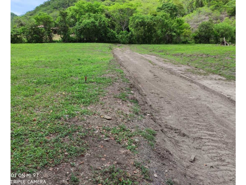 Venta de Lotes desde $35 mill en Apulo Cundi - 3
