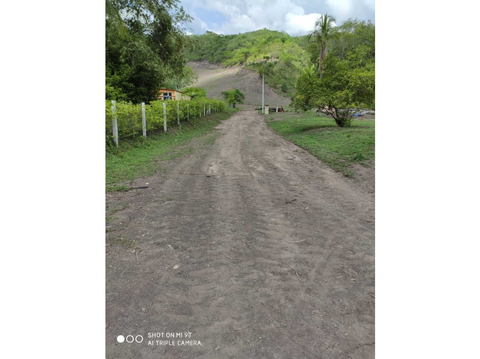 Venta de Lotes desde $35 mill en Apulo Cundi - 4