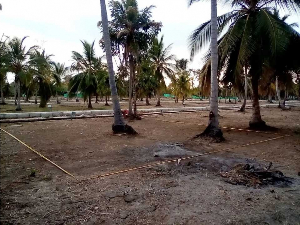 VENTA DE LOTE ECONOMICOS FRENTE AL MAR MOÑITOS - 5