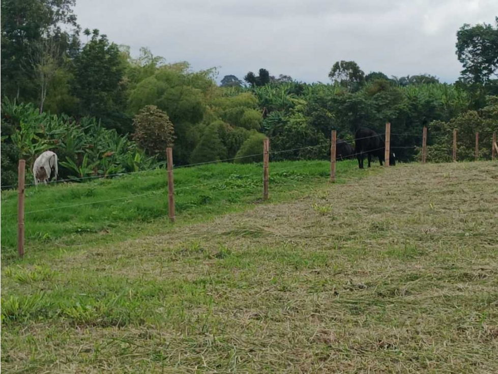 VENTA DE LOTES EN CALARCA QUINDIO VEREDA BOHEMIA - 1