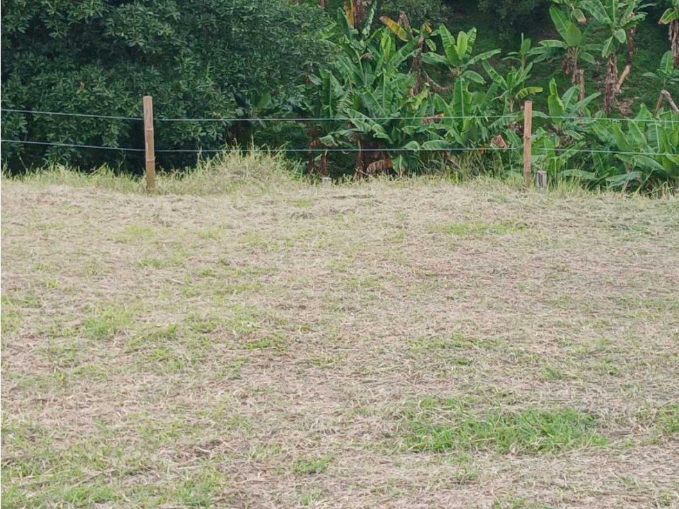 VENTA DE LOTES EN CALARCA QUINDIO VEREDA BOHEMIA - 2
