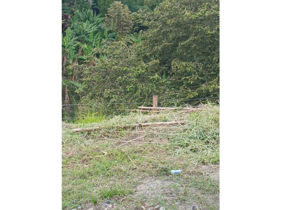 VENTA DE LOTES EN CALARCA QUINDIO VEREDA BOHEMIA - 3
