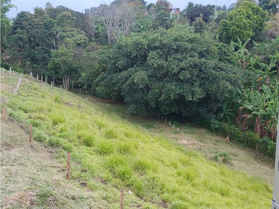 VENTA DE LOTES EN CALARCA QUINDIO VEREDA BOHEMIA - 4
