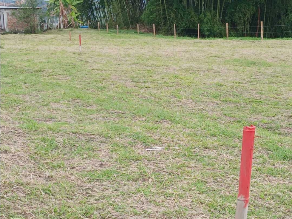 VENTA DE LOTES EN CALARCA QUINDIO VEREDA BOHEMIA - 6