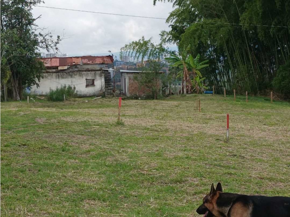 VENTA DE LOTES EN CALARCA QUINDIO - 2
