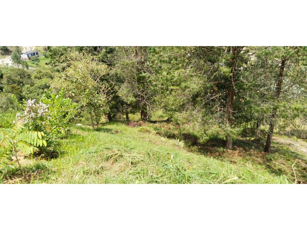 Venta de lotes en el escobero envigado