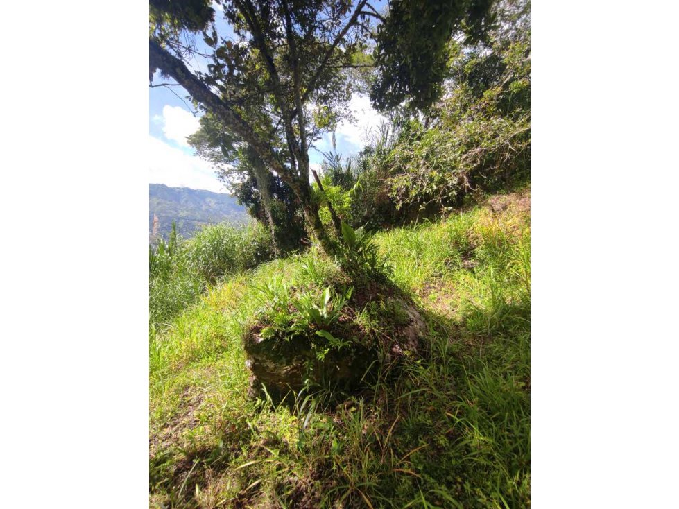 Venta de Lote en Girardota Vereda Meseta — foto 3
