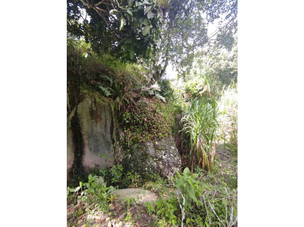 Venta de Lote en Girardota Vereda Meseta — foto 4