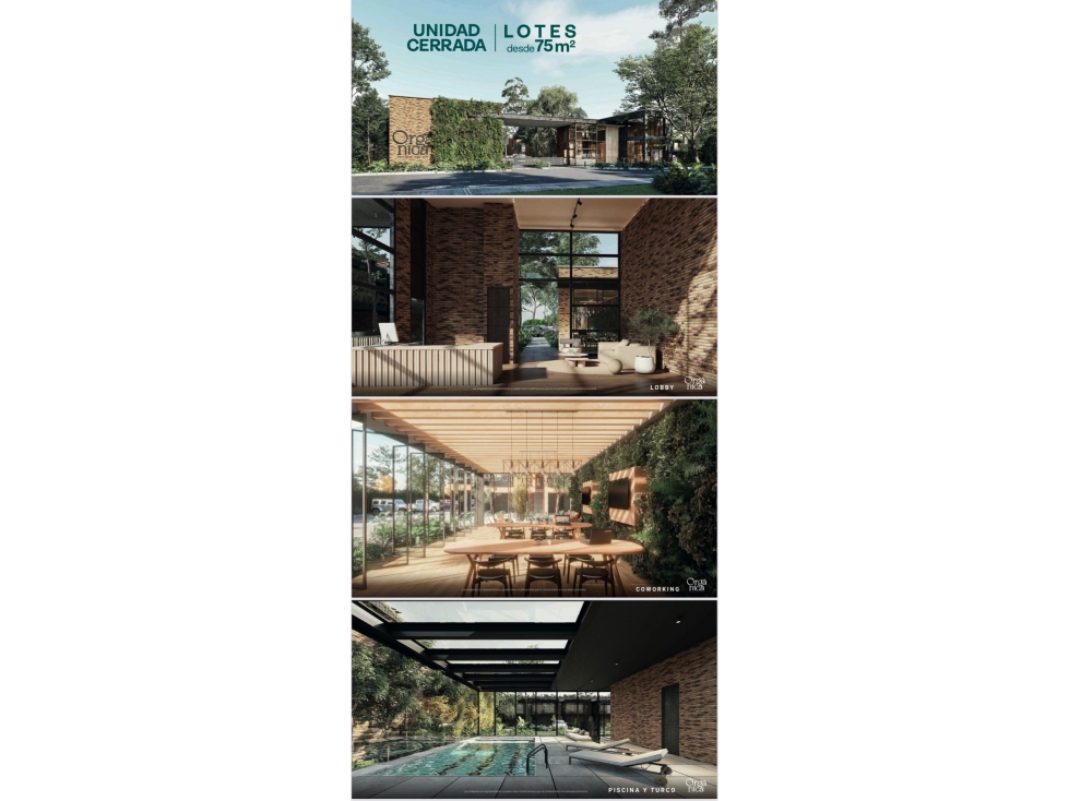 Venta de lote en la ceja organika